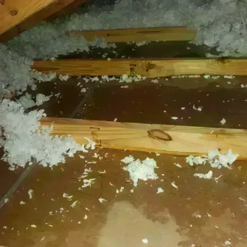 Attic Water Damage in Cortland County, NY